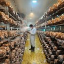 상천농장 이미지