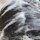주식회사수바이오테크 | 임산부샴푸 추천 카론바이오 C3 두피샴푸 사용후기