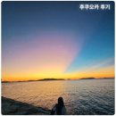 호텔고로롱 | 후쿠오카 2박3일 배타고 다녀온 후기 , 고양이해변!