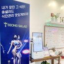 건강한쏭