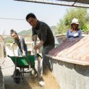 유기코리아 이미지