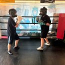 의정부 복싱 PT 이미지