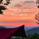 달서별빛캠프 캠핑장 | 대구 도심 속 노을 맛집 달서별빛캠프 캠핑장 카라반 6번 수영장 운영 안내