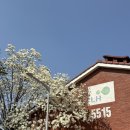 목련공원 화장실 이미지