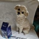 다나스약국 이미지