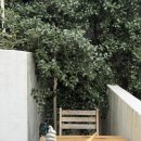 맘스터치 수영광안점 | 광안리카페 광안리디저트카페추천 이쁜 포토존과 아이스크림라떼 롤링커피 부산 광안점