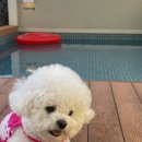 가온재 애월 이미지