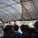 김창원농장 이미지