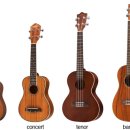 플레이 우쿨렐레 이미지