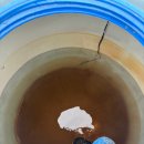 선진빌라 | 고압 세척 + 카레라 바이오로 완벽 살균, 물탱크 청소는 선진산업이 합니다