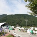 알프스시네마(1, 2관) 이미지