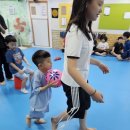 대호합기도체육관 이미지