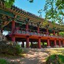 오십천둔치 이미지