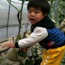 봉학농장 이미지