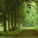 먹고가자싸고가자 이미지