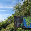 GR(해남군)-[달마로]-상-4 | (전남 해남)800m인데 왜 이렇게 힘들지? [도솔암] 솔직후기(추천, 비추천, 꿀팁)