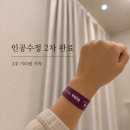 수정 | 인공수정 2차 후기, 사이클로제스트 사용 후기와 증상