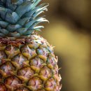 파인애플 이미지