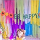 리치펫하우스 이미지