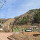 데일리랜드 | 춘천데일리랜드오토캠핑장