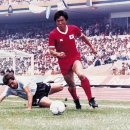 차범근 카카오 검색결과