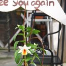 이원농장 이미지