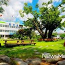 수정마을협동조합 이미지