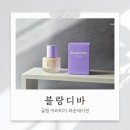 27200-라-21 | 커버력좋은파운데이션 모공 블러 피부표현 좋은 블랑디바 파데