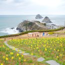 남구-024 이미지