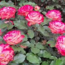 100세 시대 증여상속 이미지