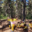 봉곡유치원 이미지