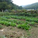 노원농장 이미지