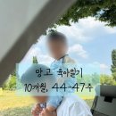 전성가든 | [🥭육아일기] 10개월, 44~47주 ㅣ 후기 3끼 완밥 요정 ㅣ 역사적인 첫 걸음마 대성공👣 ㅣ "아빠!" 말문...