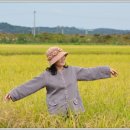 허수아비 이미지