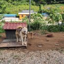 풍차마을 민박 이미지