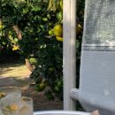 솜반천로 이미지