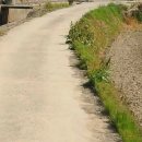 임자공인중개사사무소 이미지