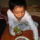 청호장 Daum카페