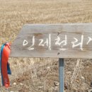 중앙우회로 이미지