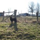 (주)인디펜던스 이미지