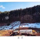 동해시-51 이미지