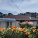 둥지수퍼 이미지