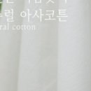 H0121 이미지
