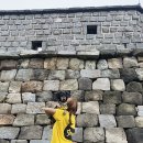 뛰뛰하개 이미지