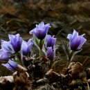 동강농장 이미지