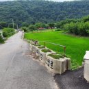 일영무두리캠핑장 이미지