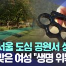 대낮 서울 도심 공원서 성폭행 너클맞은 여성 &#34;생명위독&#34; 이미지