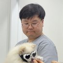위런한방재활동물병원 이미지