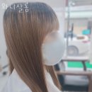 와니살롱 이미지