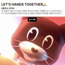 강아지 물티슈 휴대용 추천, 허레이 에센셜 펫티슈 야외 산책 후기